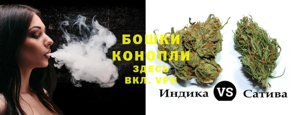стаф Бугульма
