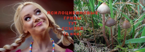 стаф Бугульма