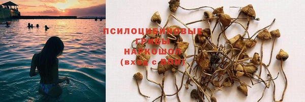 стаф Бугульма