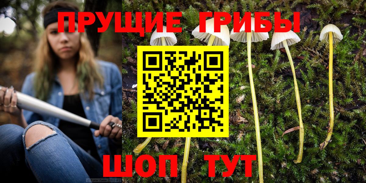 Галлюциногенные грибы Psilocybine cubensis  Вход с VPN  Среднеуральск  Псилоцибиновые грибы Psilocybine cubensis 